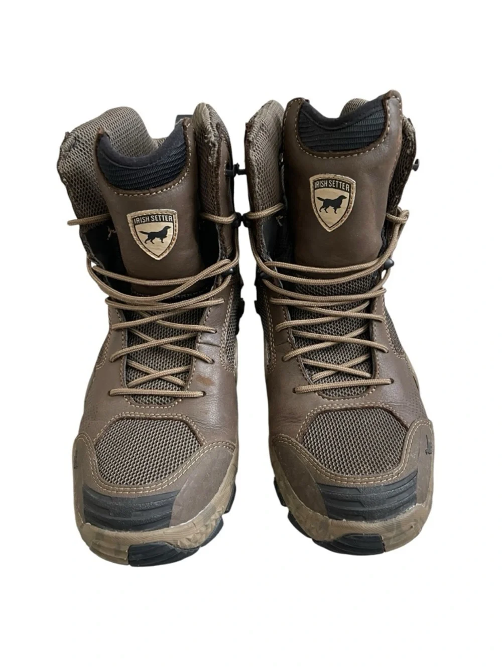 Irish Setter cushin comfort